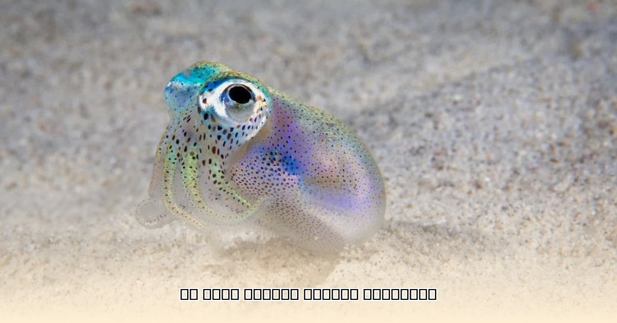 squid-game-age-rating